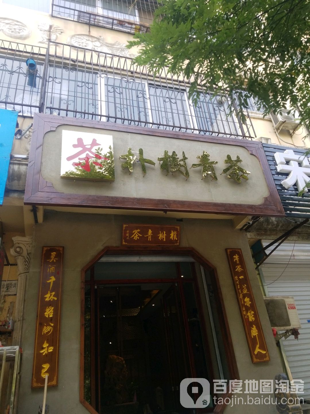 朴树青茶