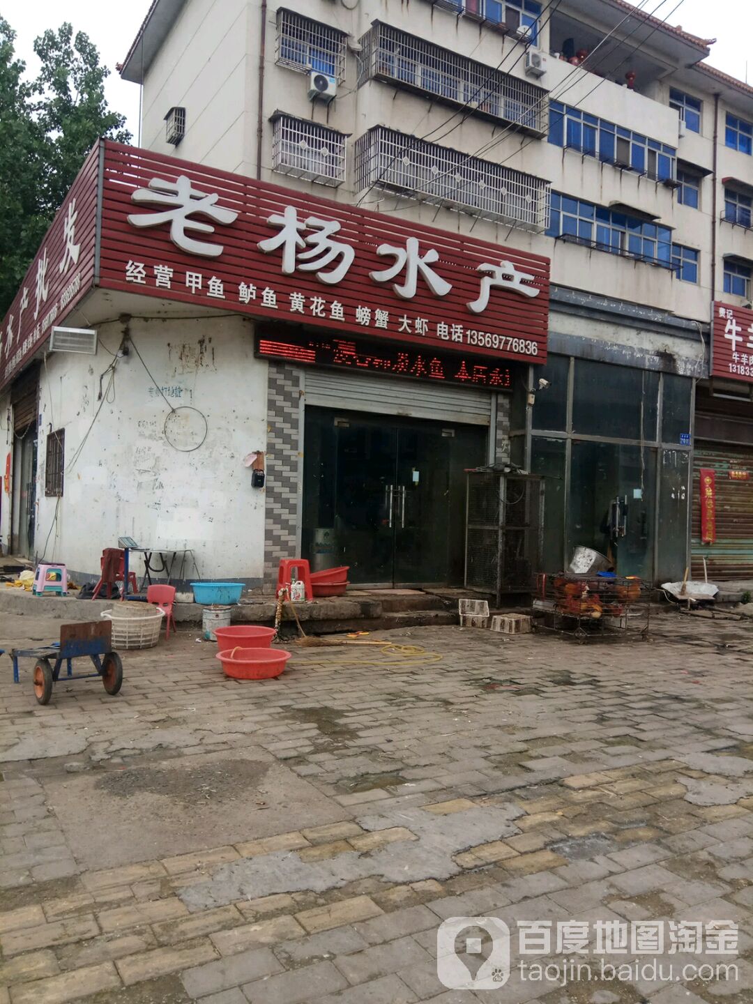 老杨水产