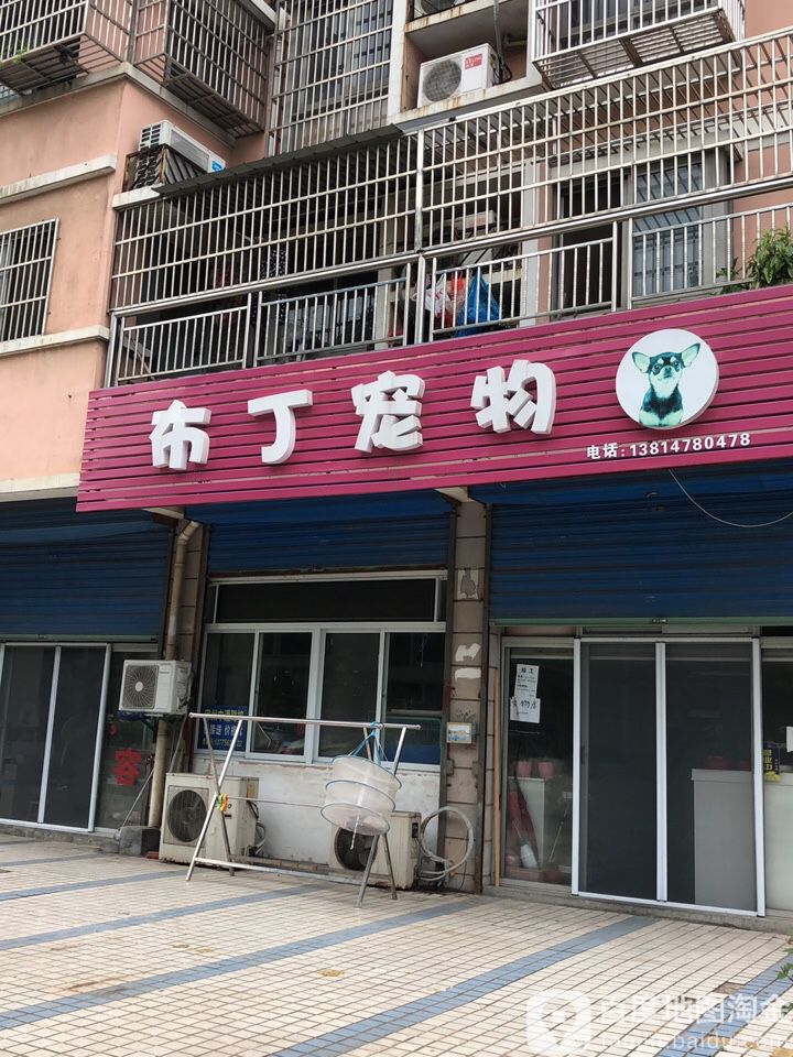 布丁宠物店