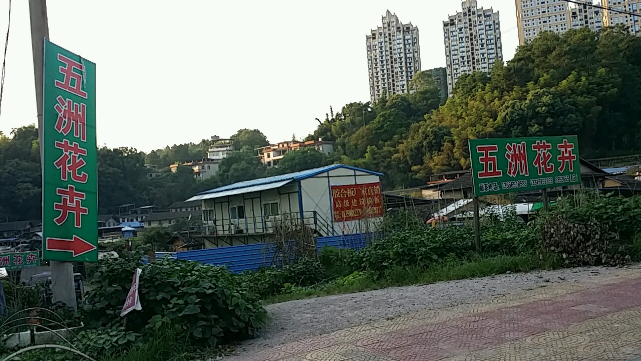 五洲花卉