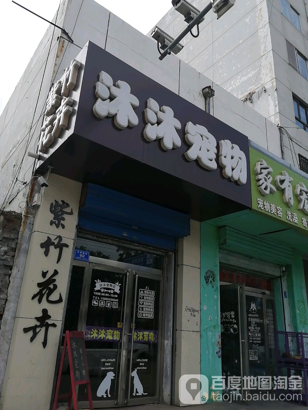 沐沐宠物