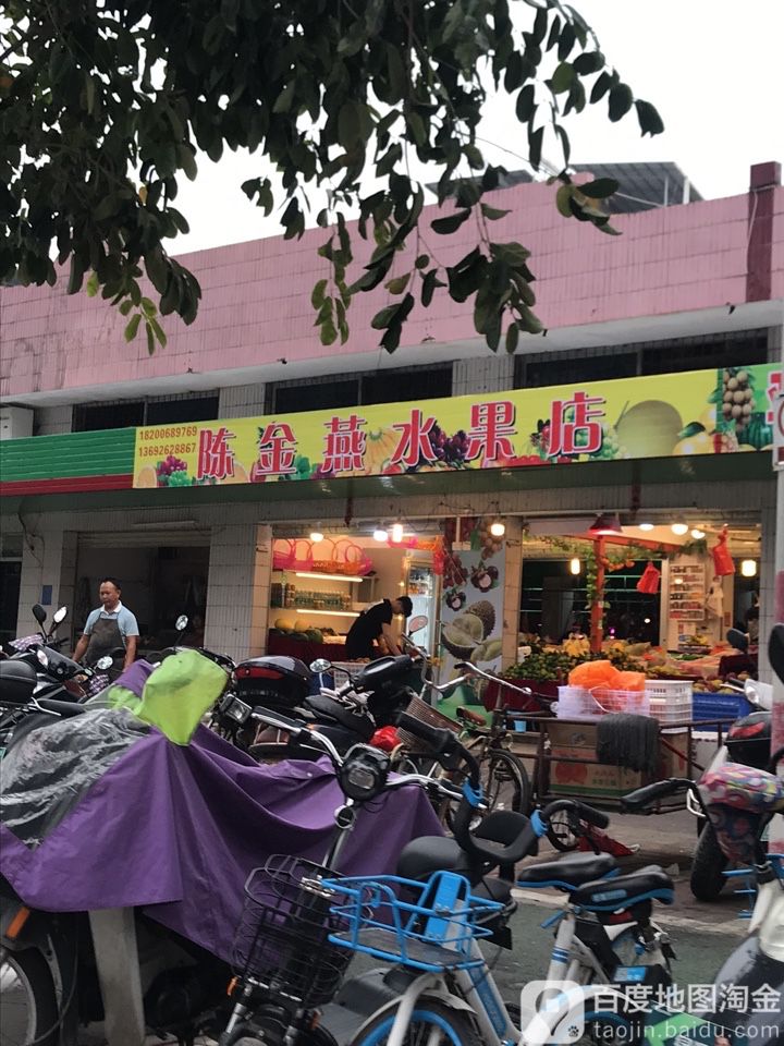 陈金燕水果店