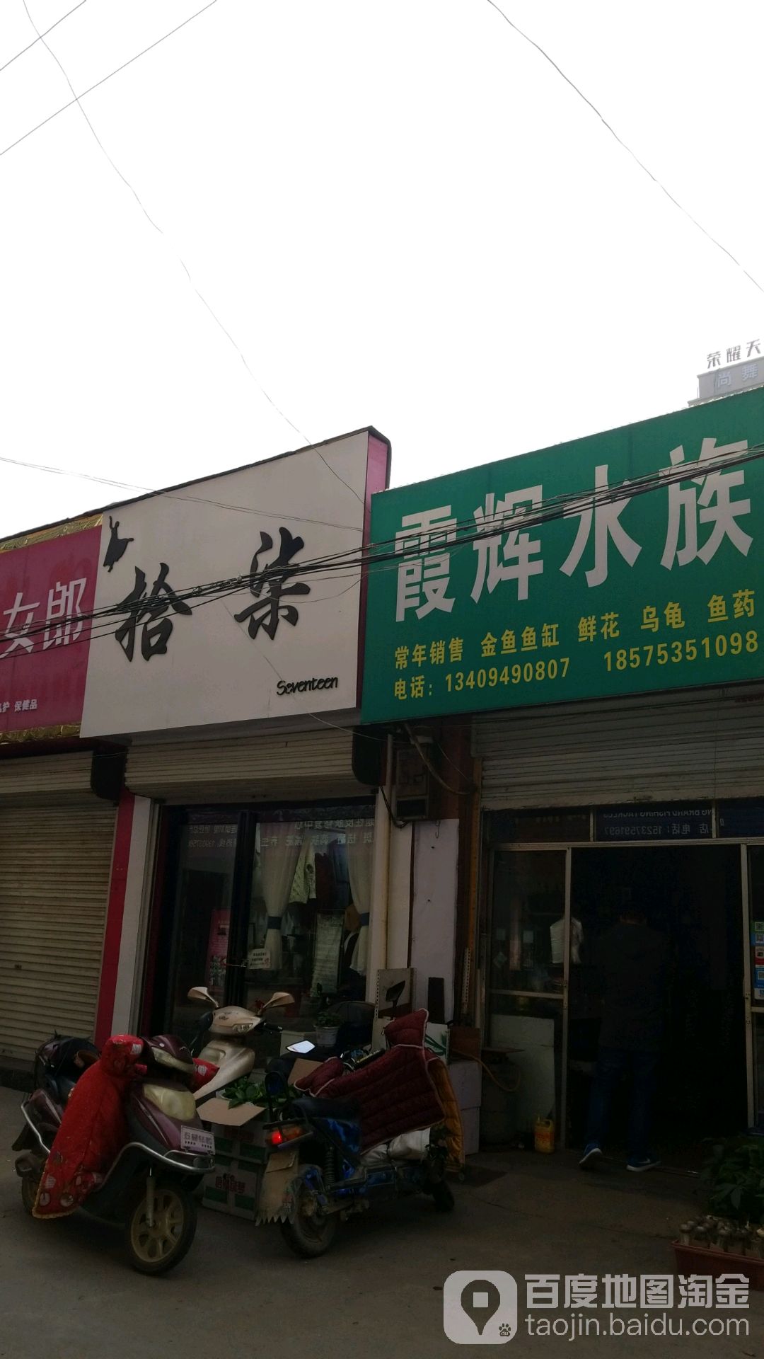霞辉水族