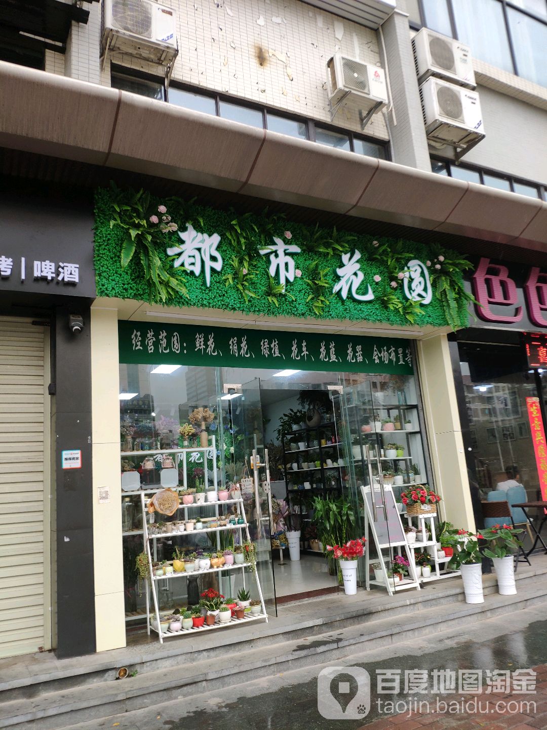 都市花圆