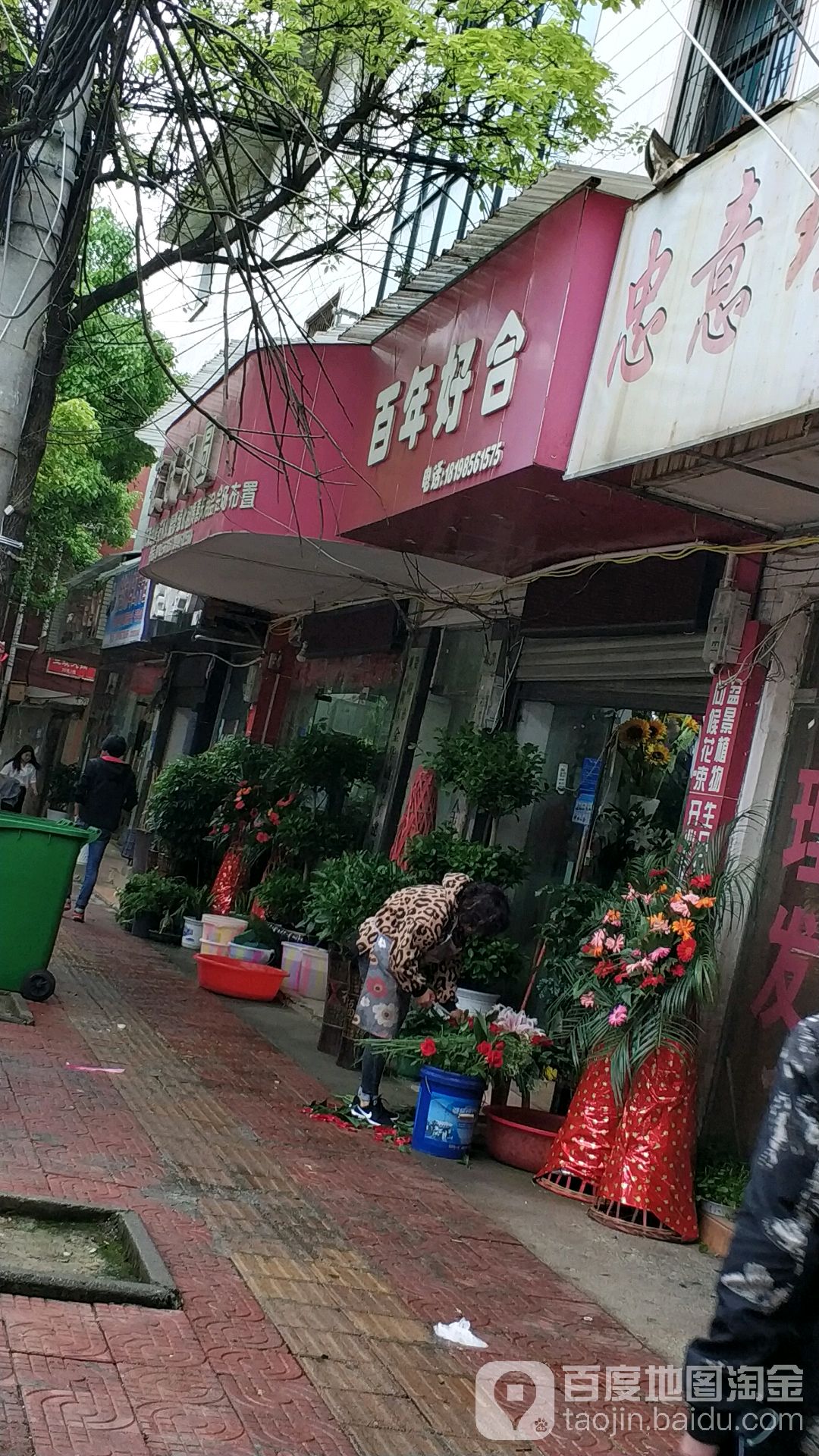 百年好合