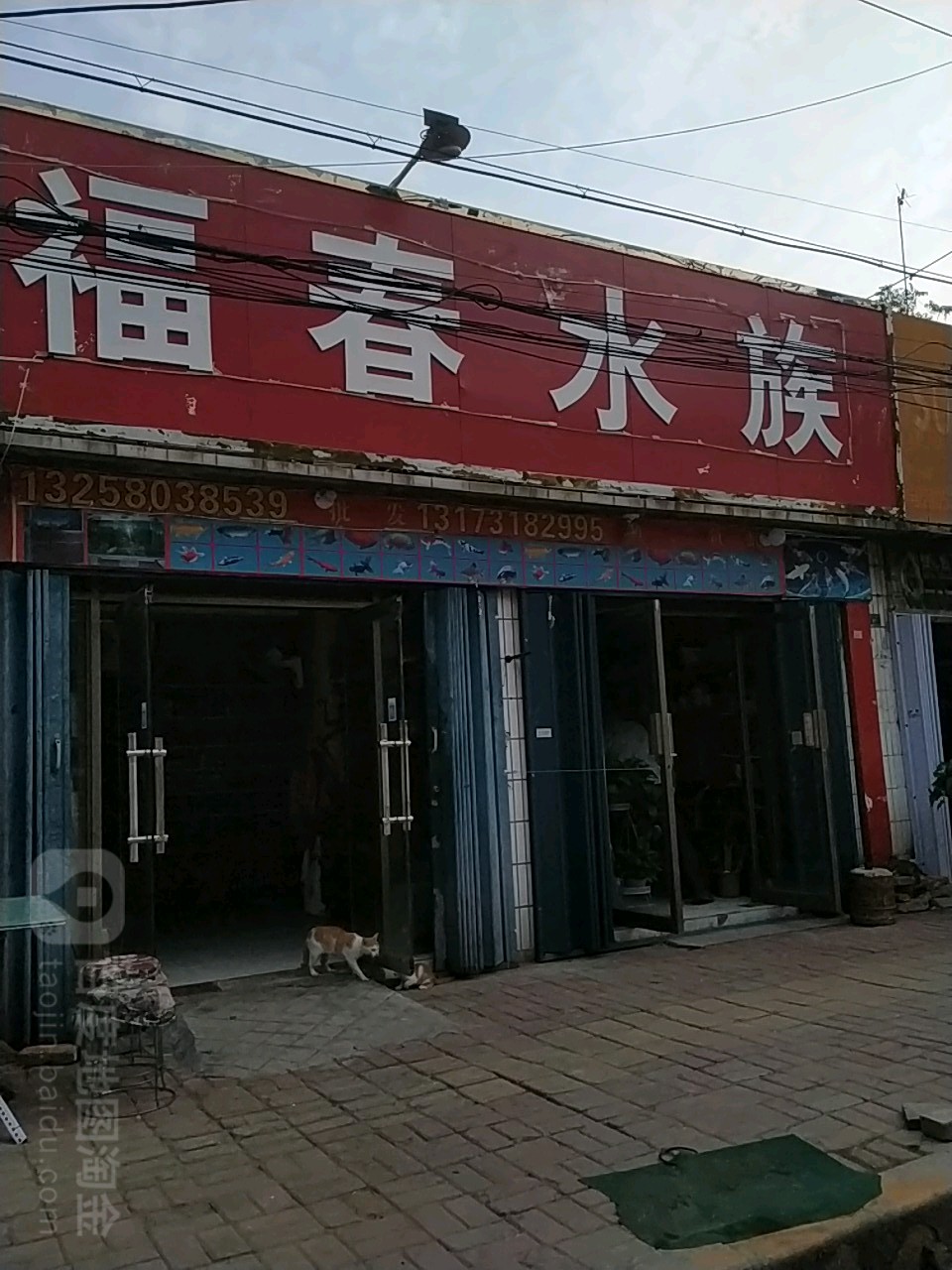 福春水族