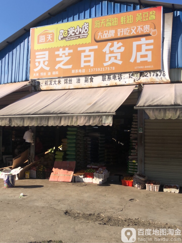 灵芝百货店