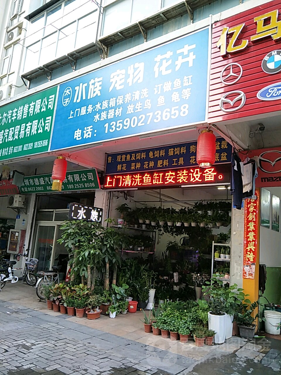 太子水族宠物花店