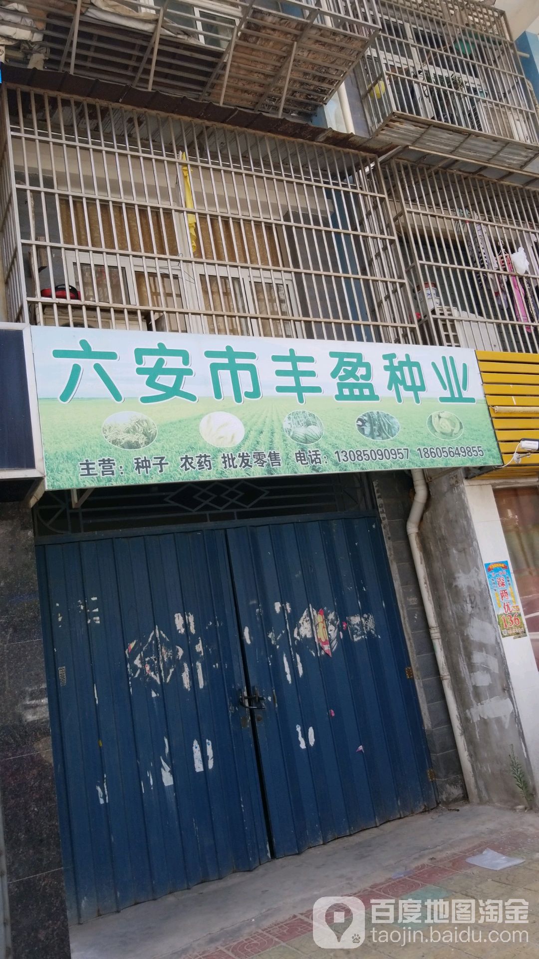 六安市丰阳种业
