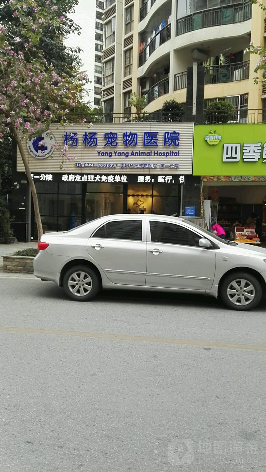 杨杨宠物医院·24h诊疗(万象院店)