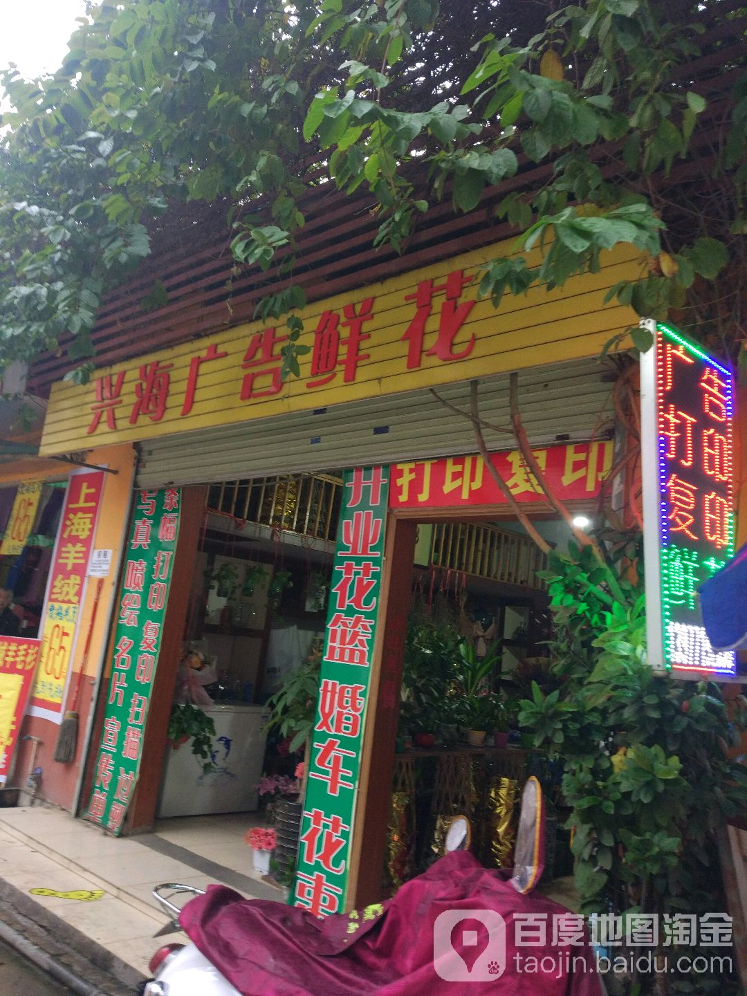 兴海广告鲜花