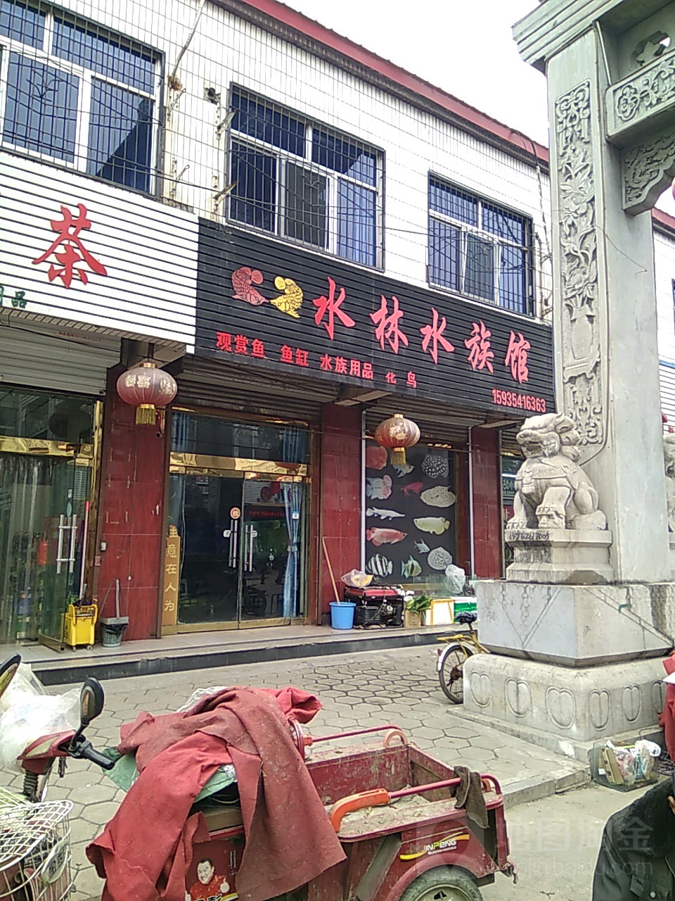 水林水族馆
