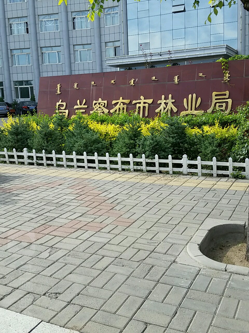 乌兰察布市林业和草原局