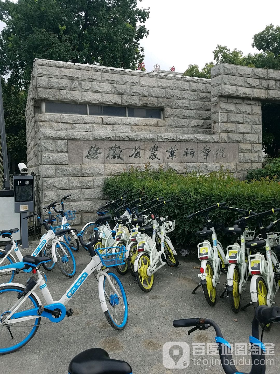 安徽省农业科学院