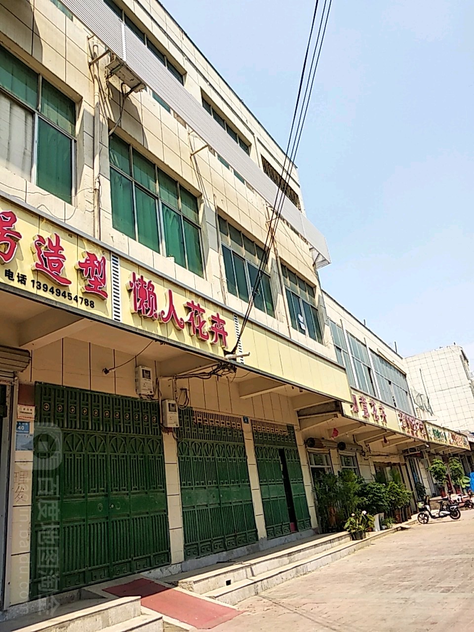 懒人花卉