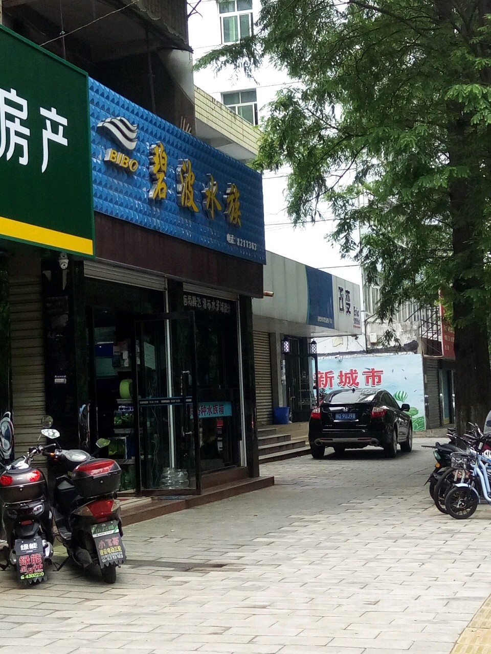 碧波水族
