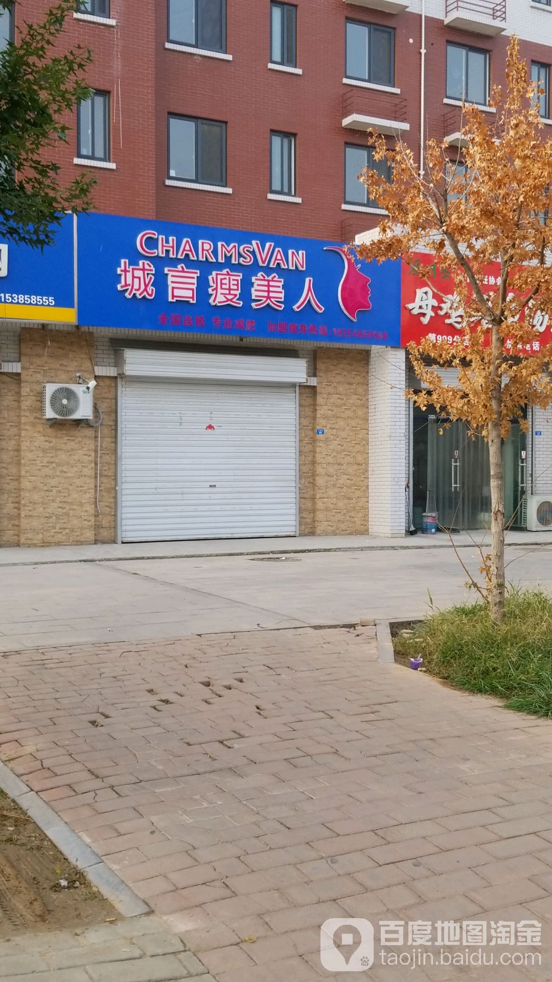 城信瘦美人
