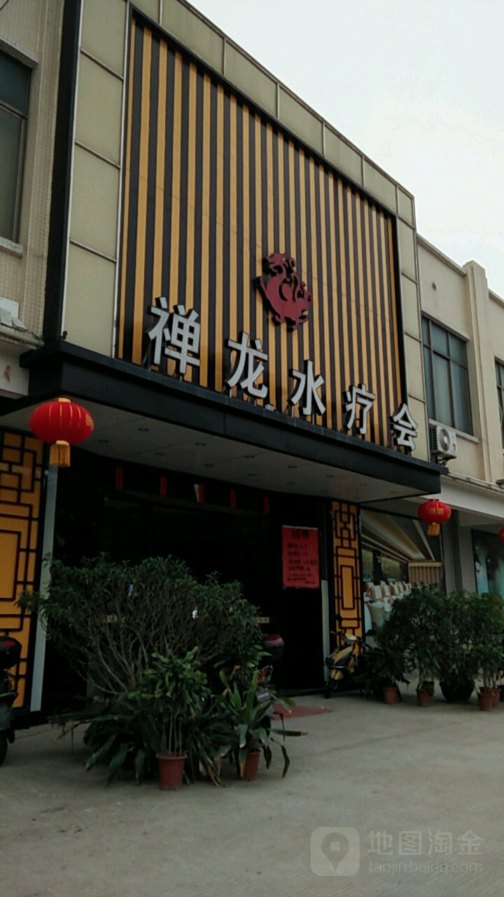 禅龙养生