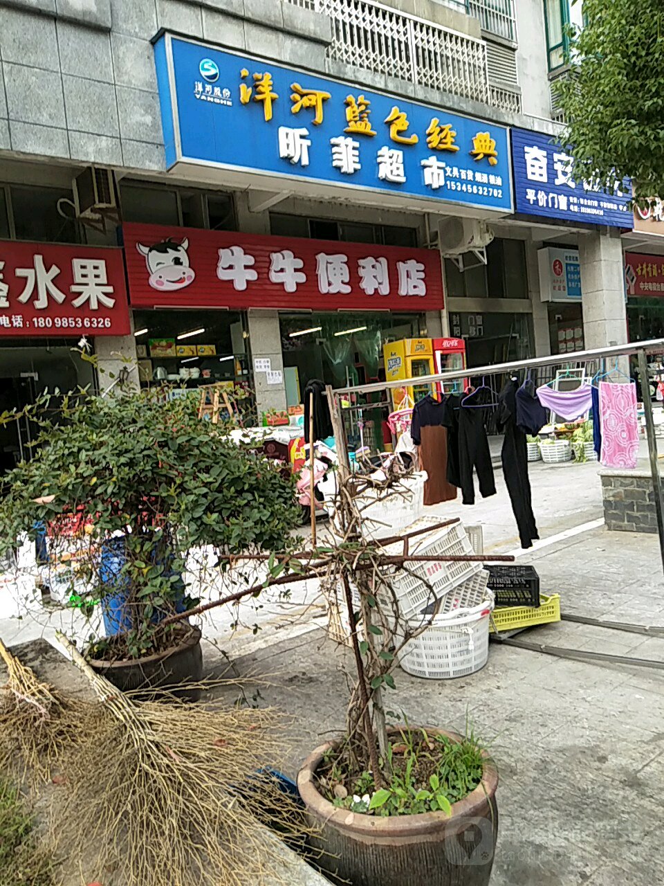 牛牛便利店(谢公路店)