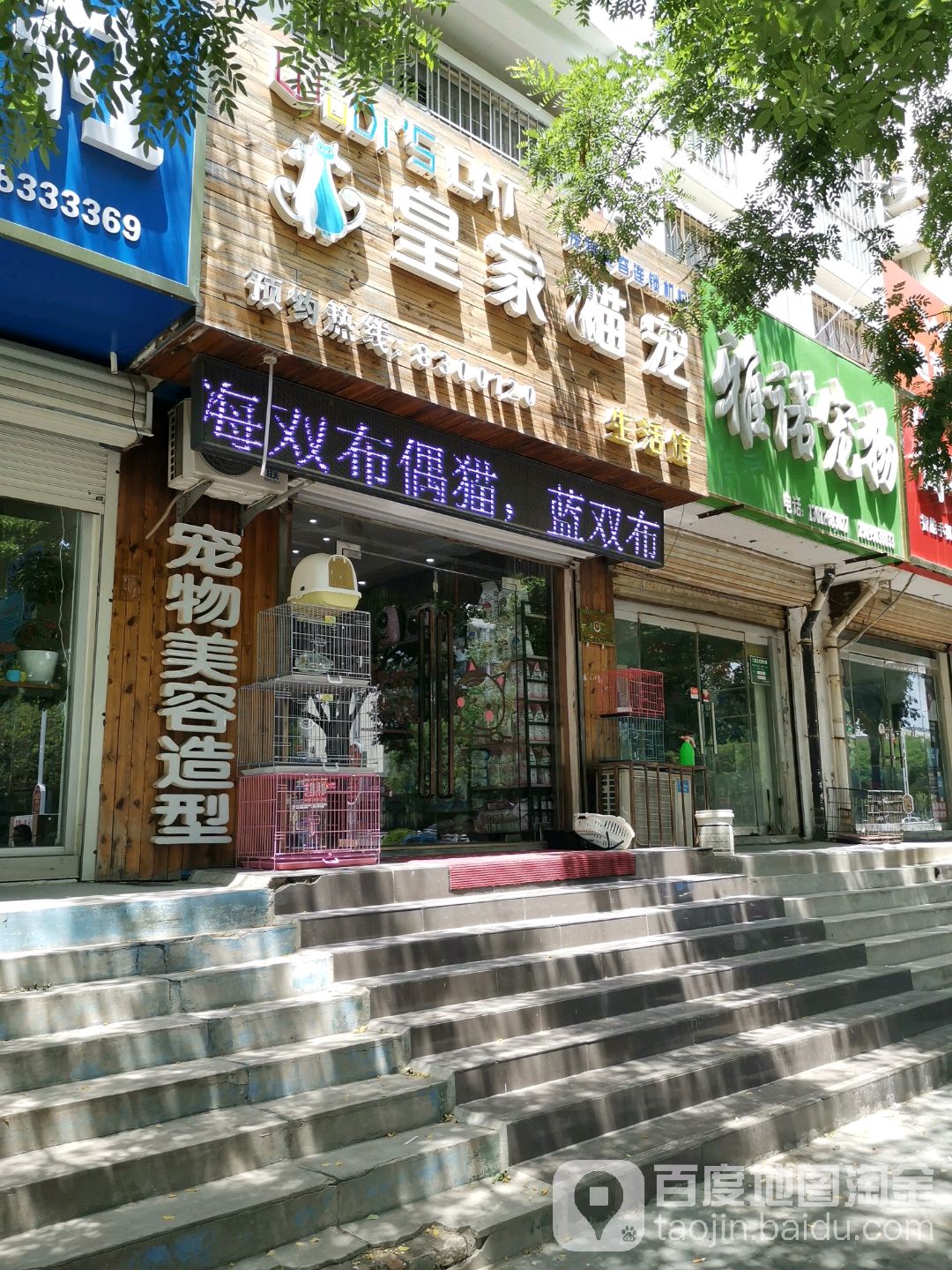 聊城市皇家宠医院(北步行街店)