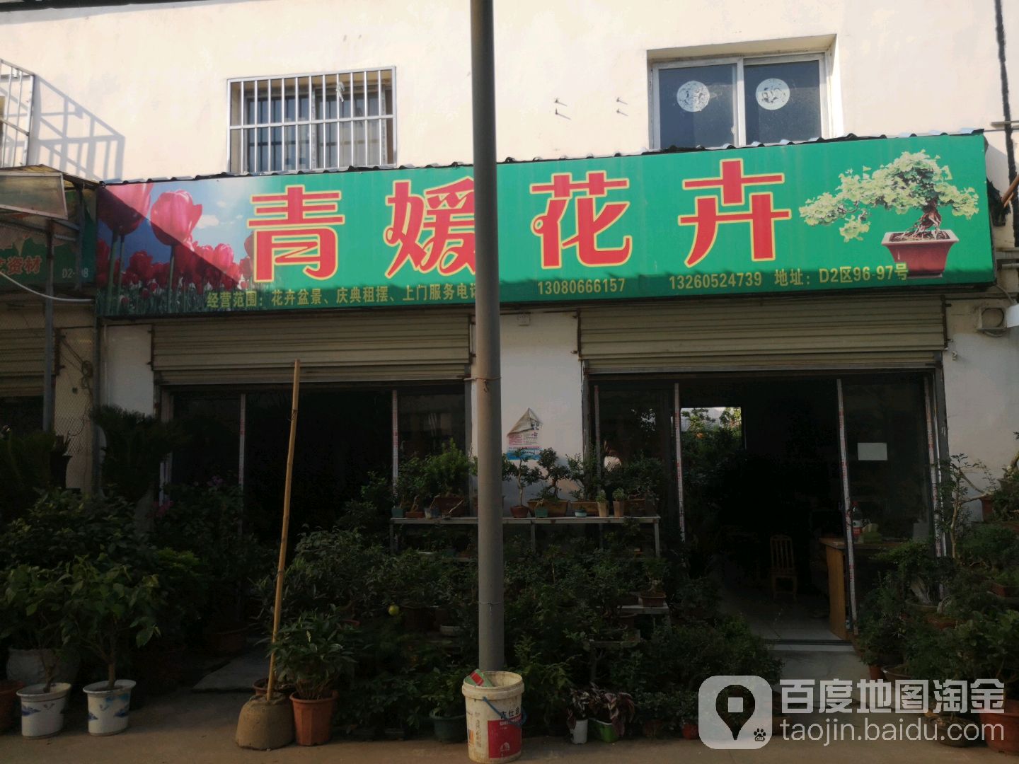 青媛花卉(堤角花鸟宠物大世界店)
