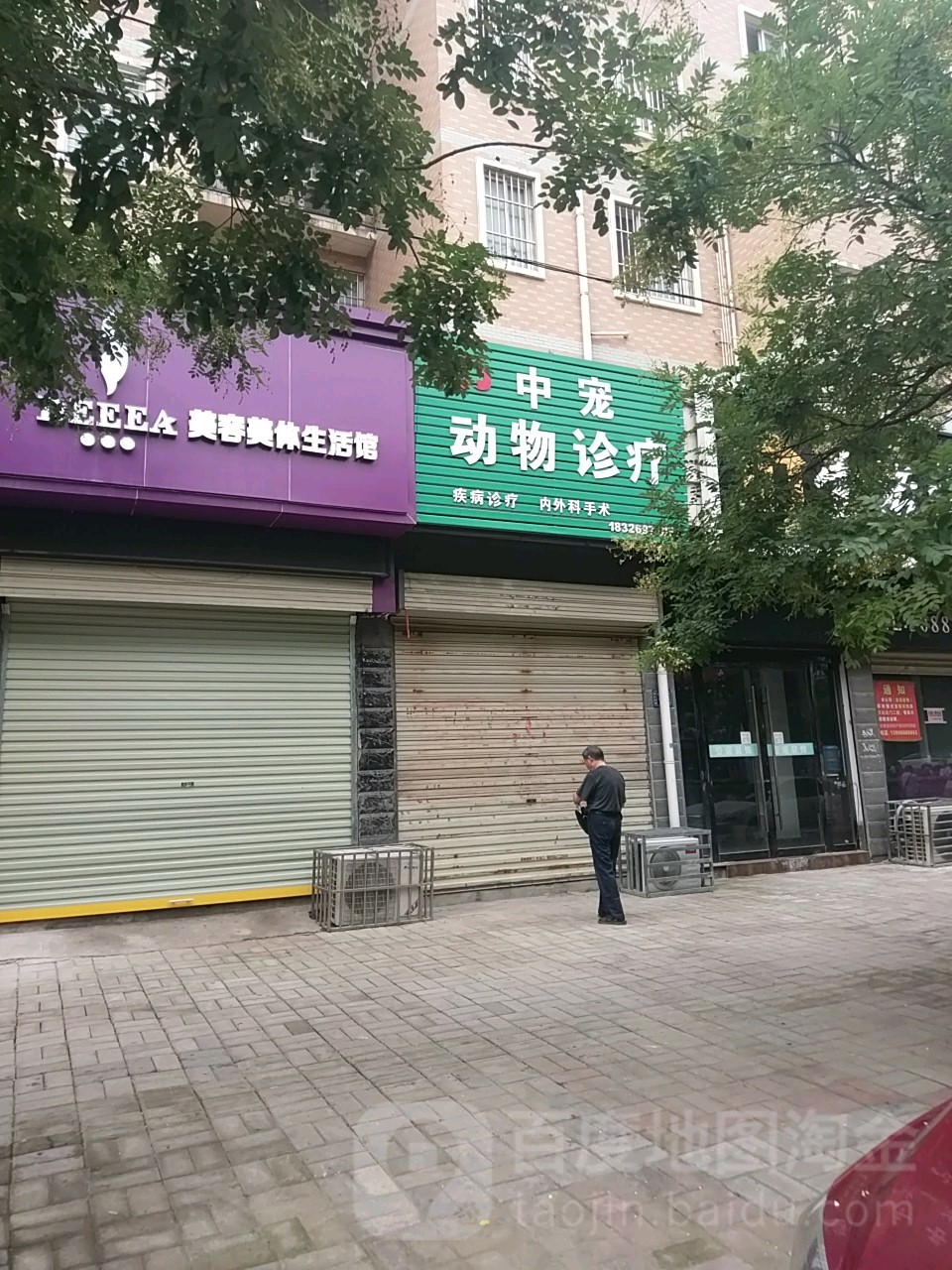 中宠动物诊疗(银河绿苑店)