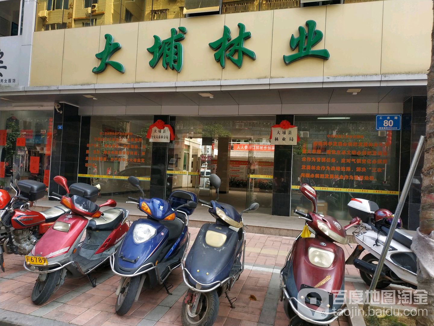 广东省大埔县林业和草原局