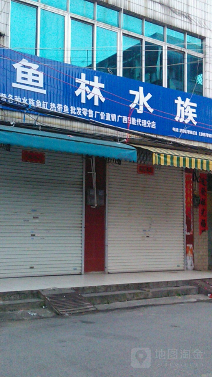 鱼林水族