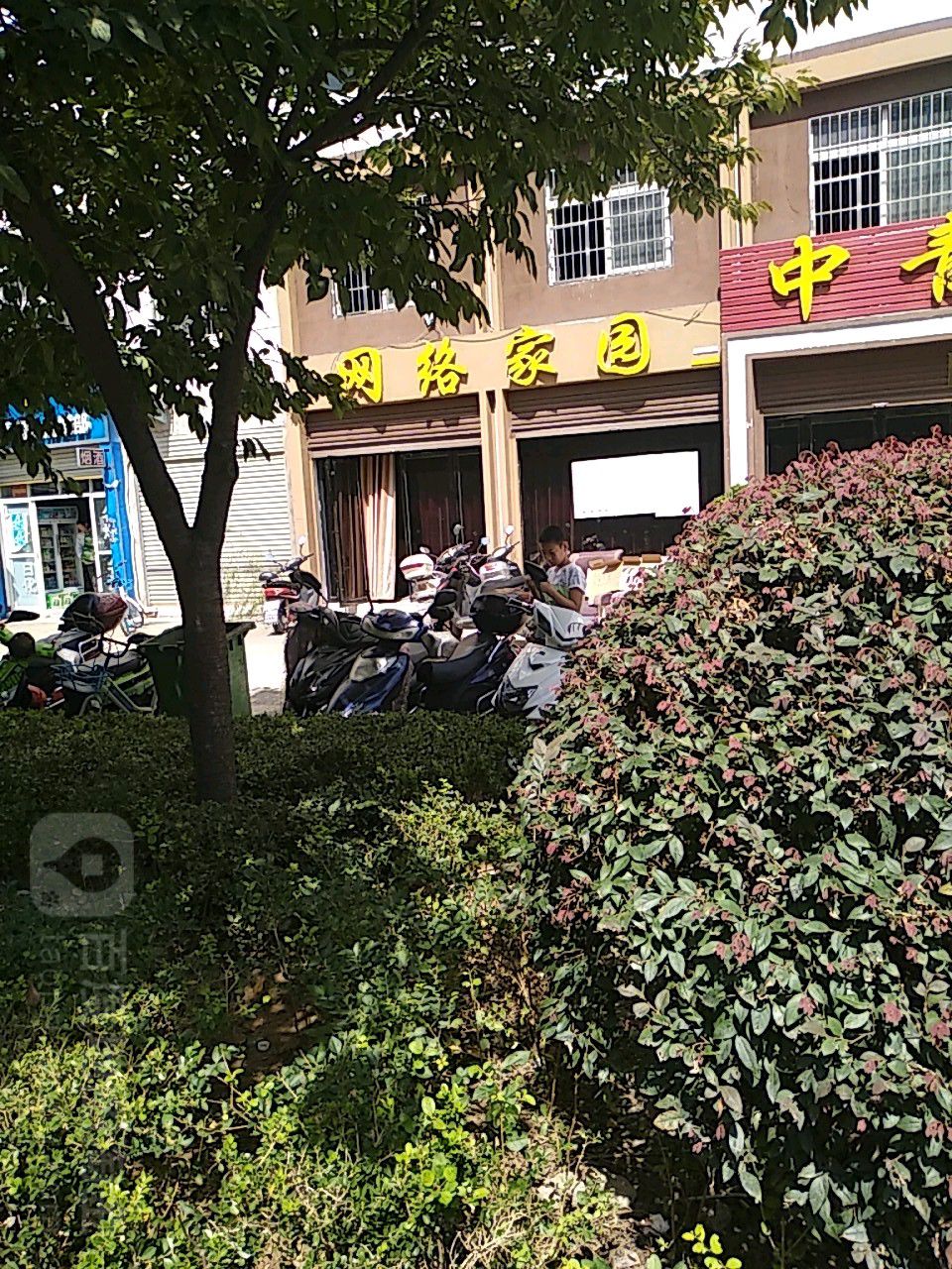 中青网络佳苑(区府路店)