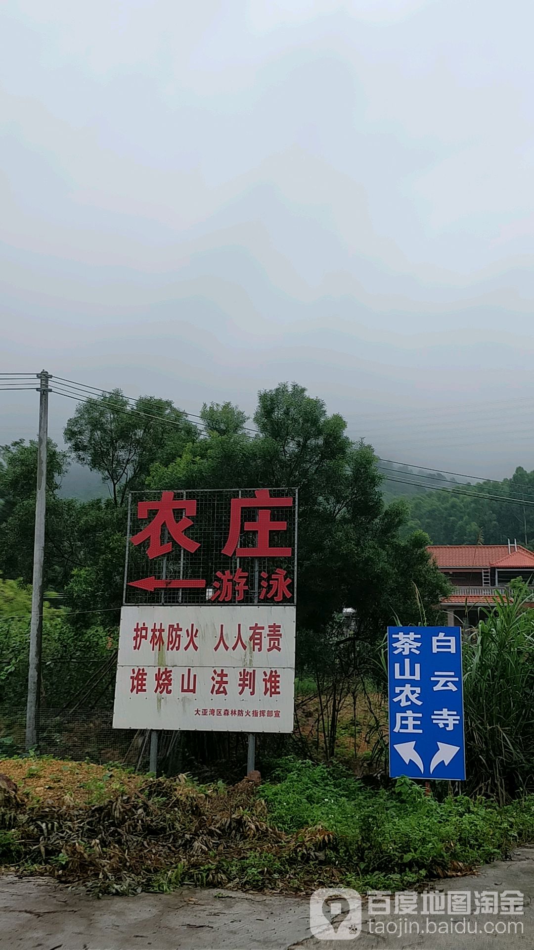 茶山农庄山泉水游泳池