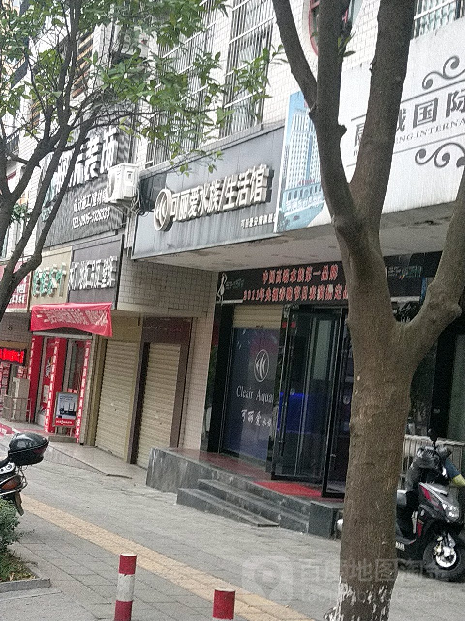 可丽宝爱水族(安康旗舰店)