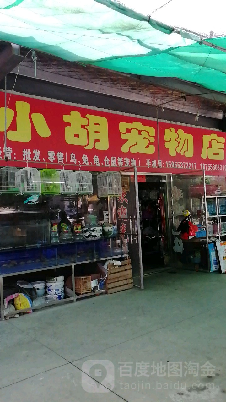 小胡宠物店