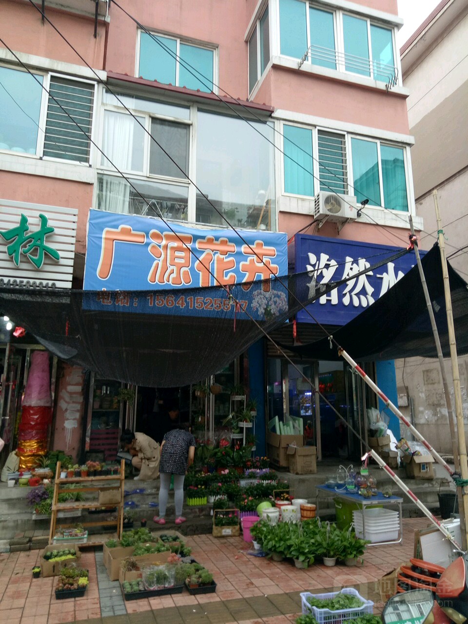 广源花卉