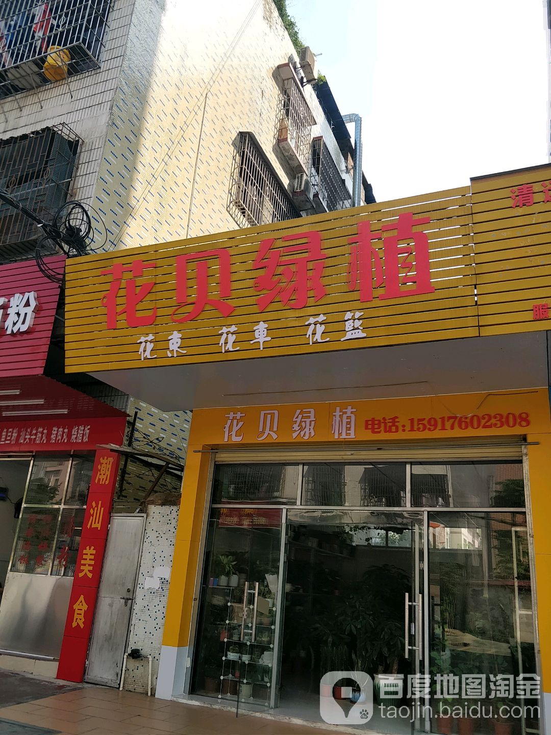 花贝绿值