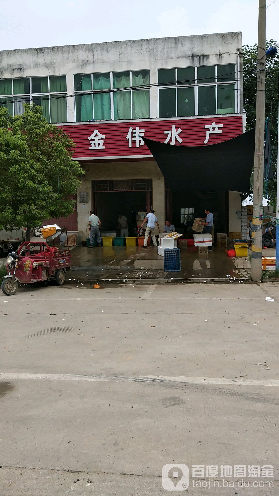 金伟水产