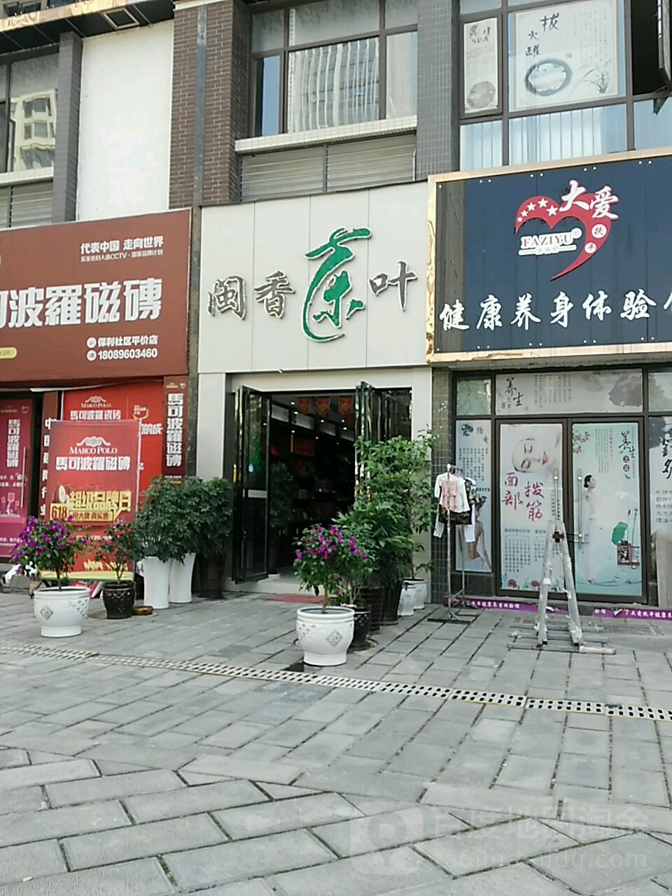 闽香茶叶