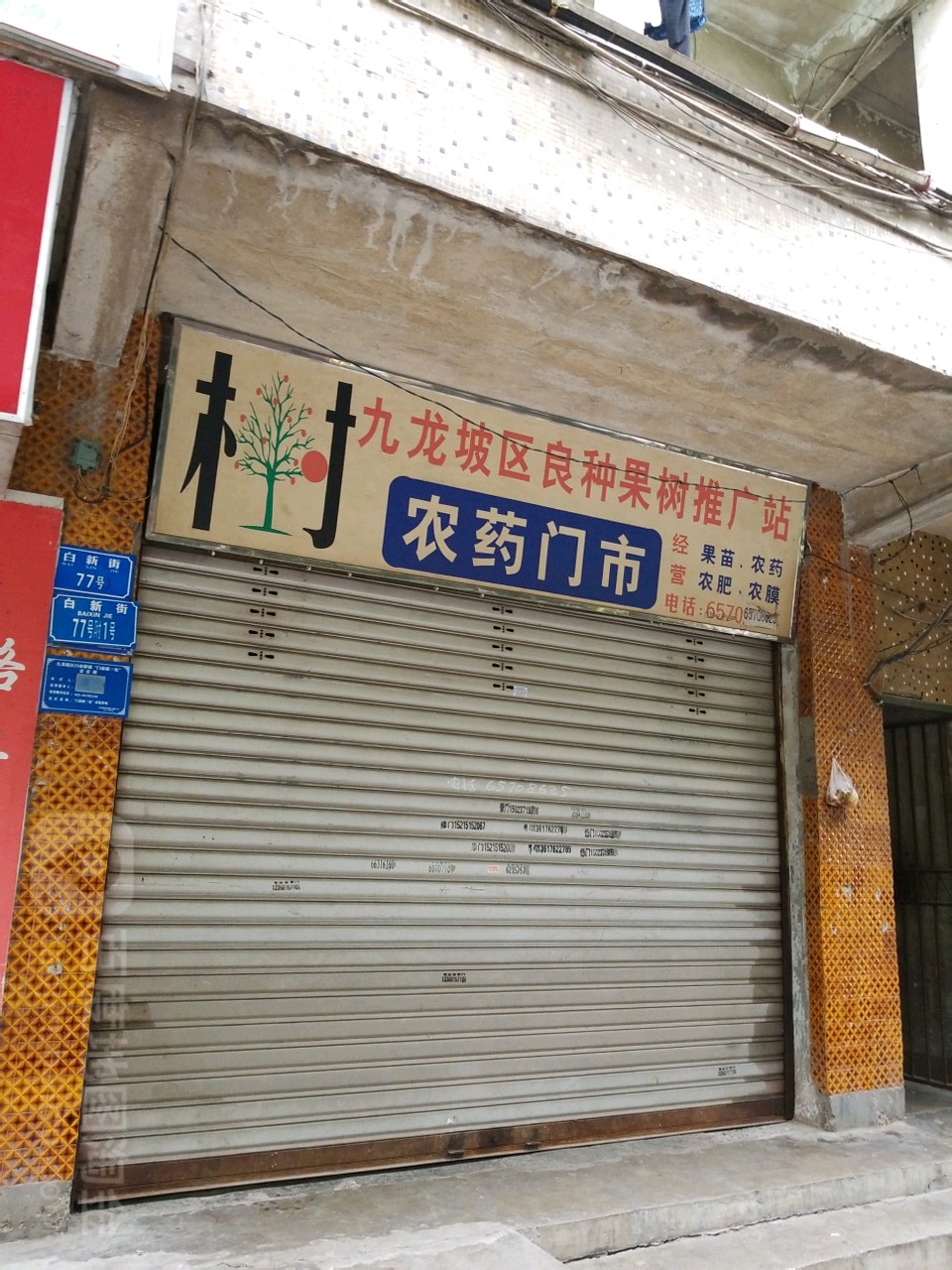 九龙坡区良种果树推广站