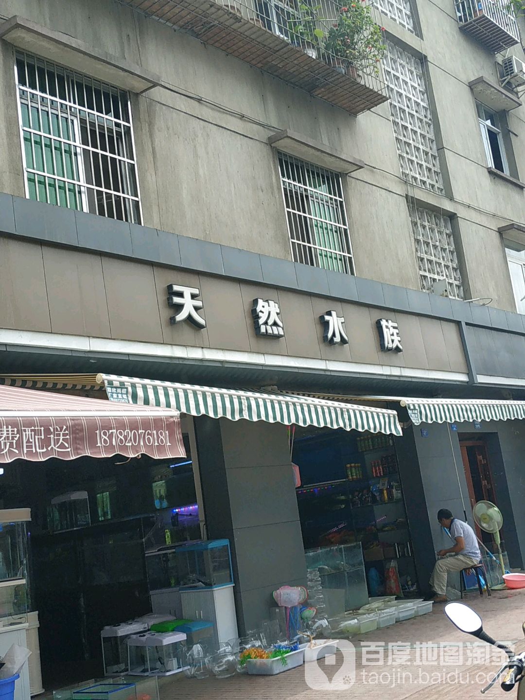 天然水族