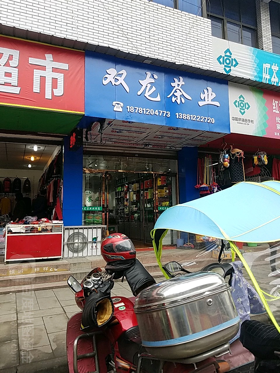 双龙茶业