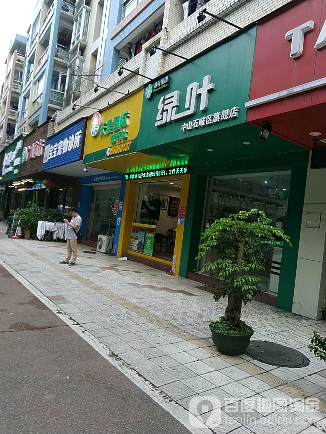 绿叶中山石岐区旗舰店