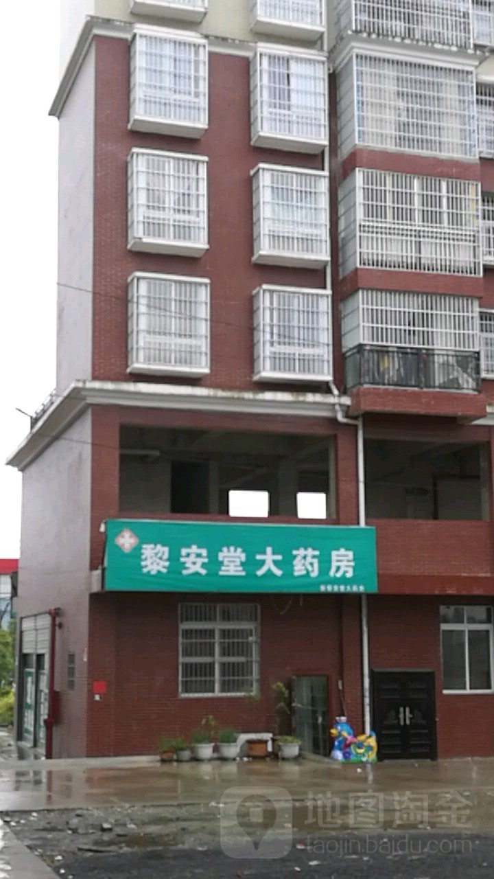 黎安堂药房房(南兴线店)