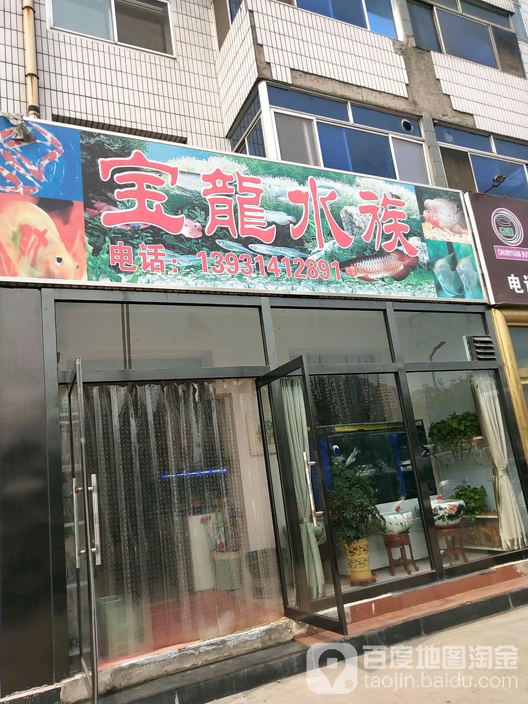 包龙水族