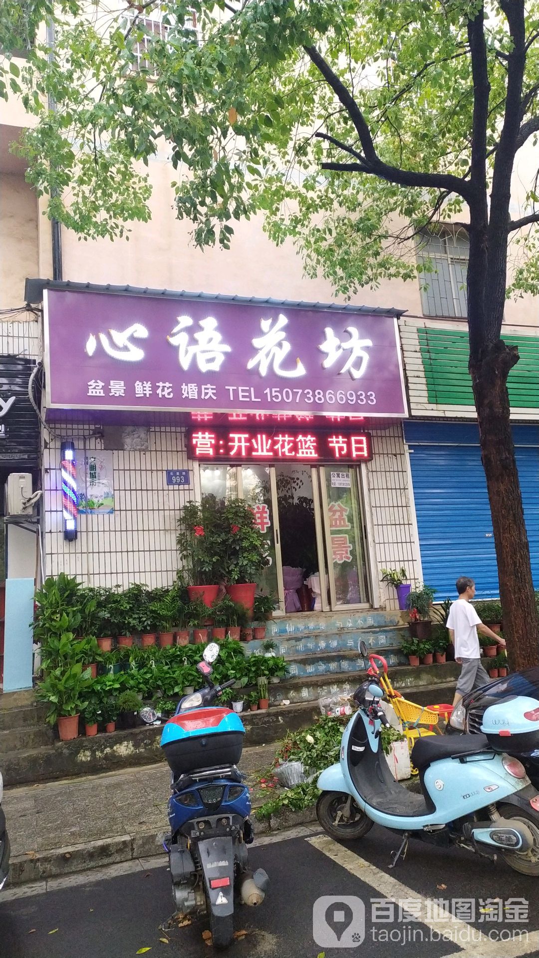 心语花坊(氐星路店)