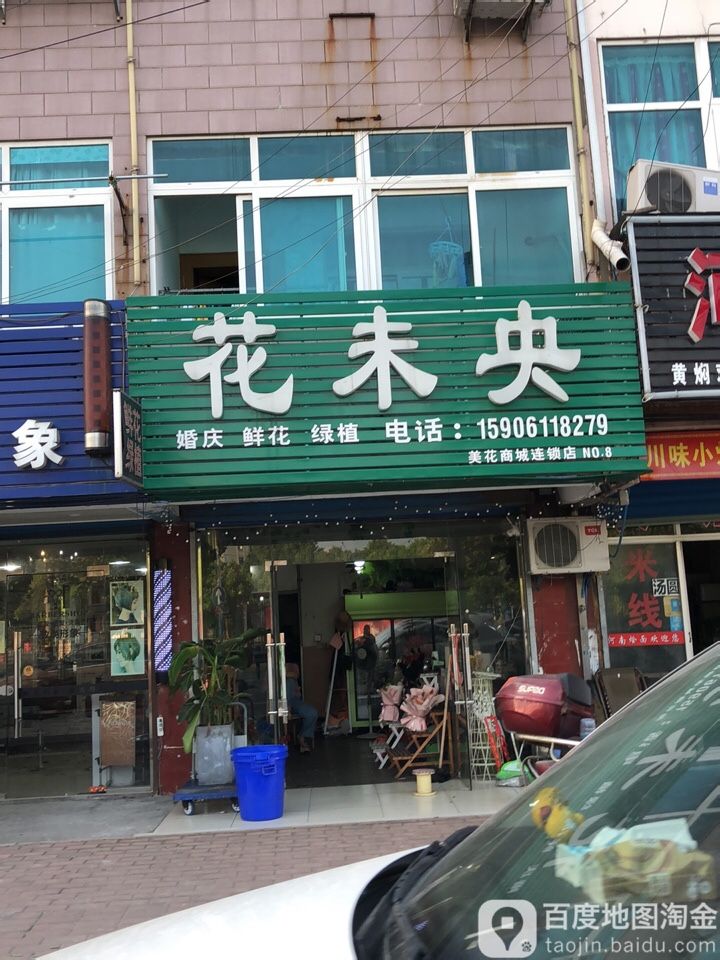 花未央鲜花绿植(NO.8)