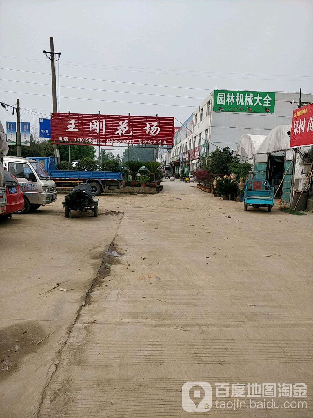 王刚花场