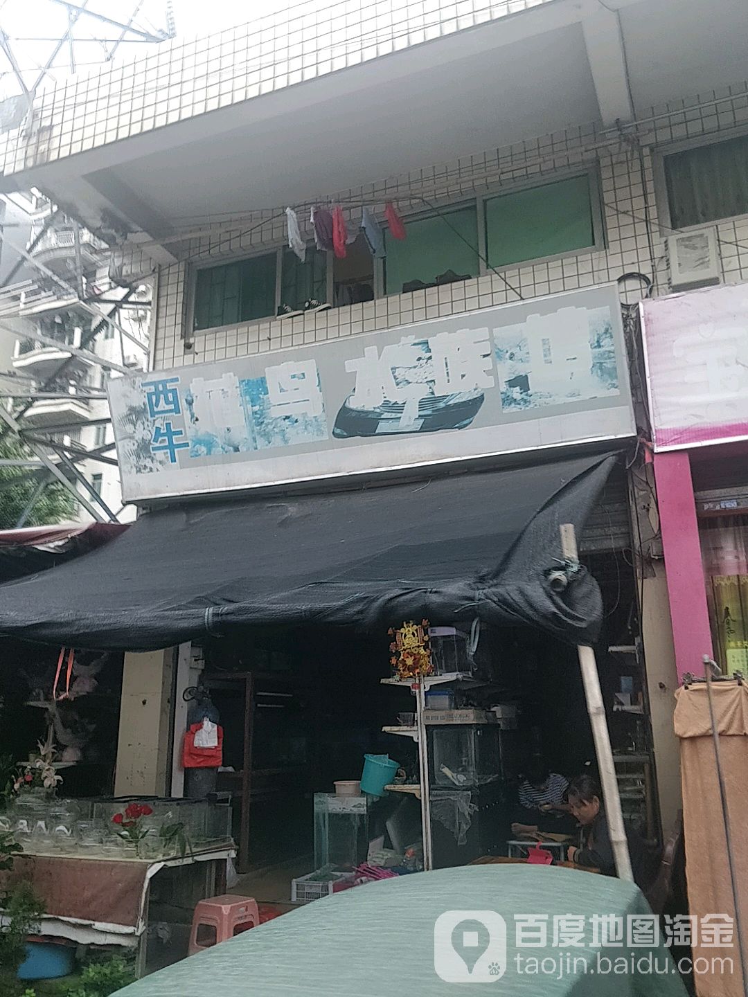 西牛花鸟海水馆