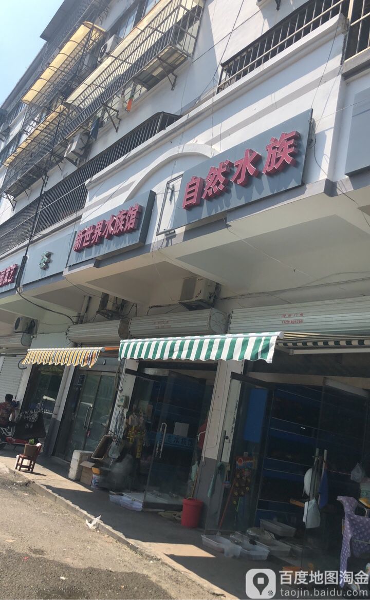 自来水族
