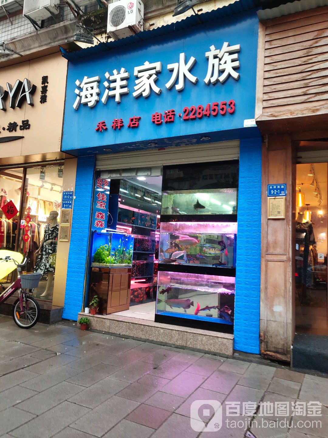 海洋家水景(禾祥店)