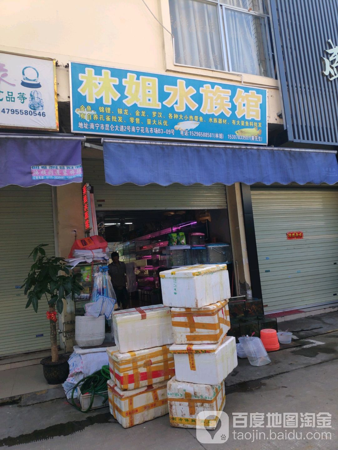 林姐水族馆