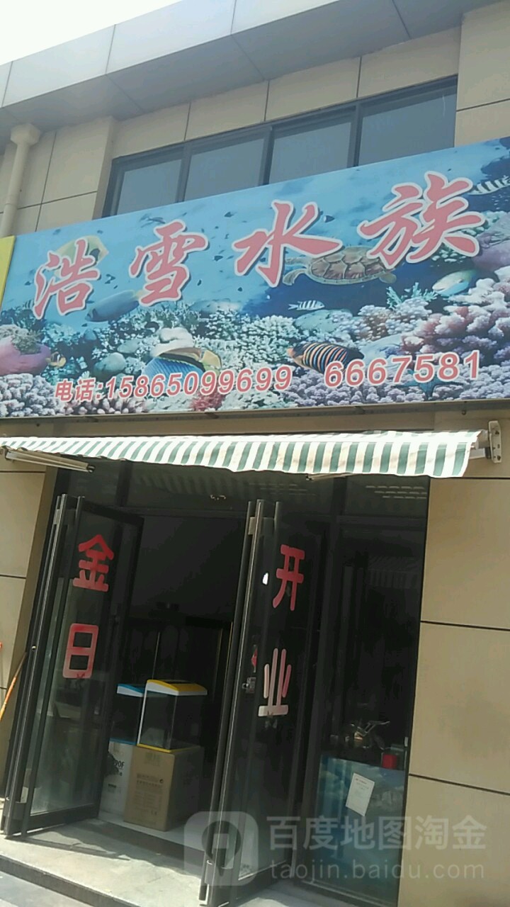 浩雪水族(花都家电科技城店)